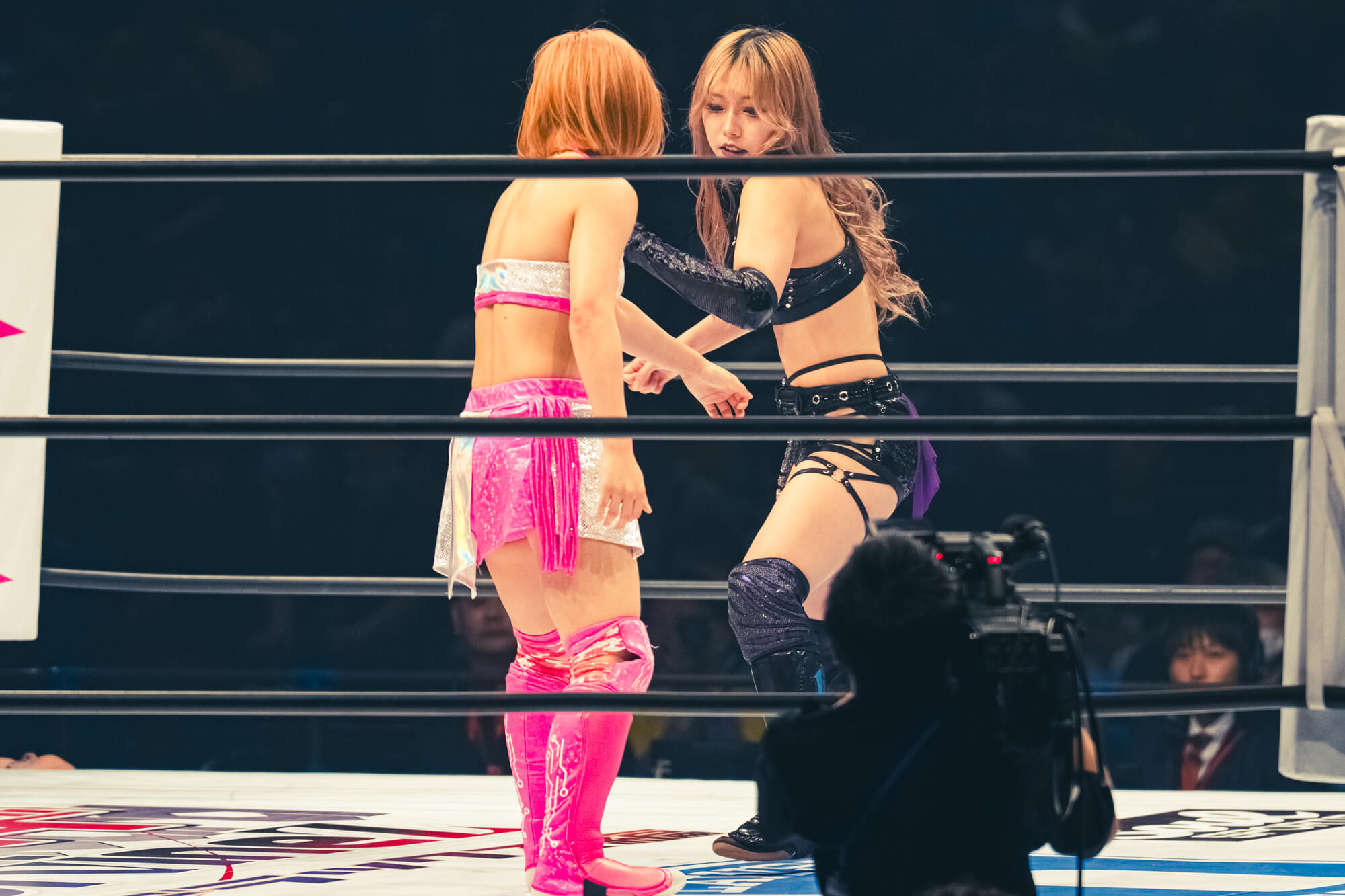 【STARDOM】25.4.27 横浜アリーナ スターダムランブル 横浜アリーナ,稲葉あずさ,虎龍清花