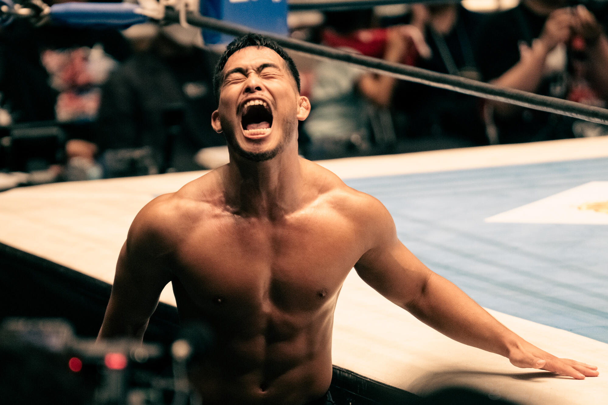 【新日本】25.7.6 後楽園ホール 安田&嘉藤 vs 永井&村島 永井大貴,後楽園ホール