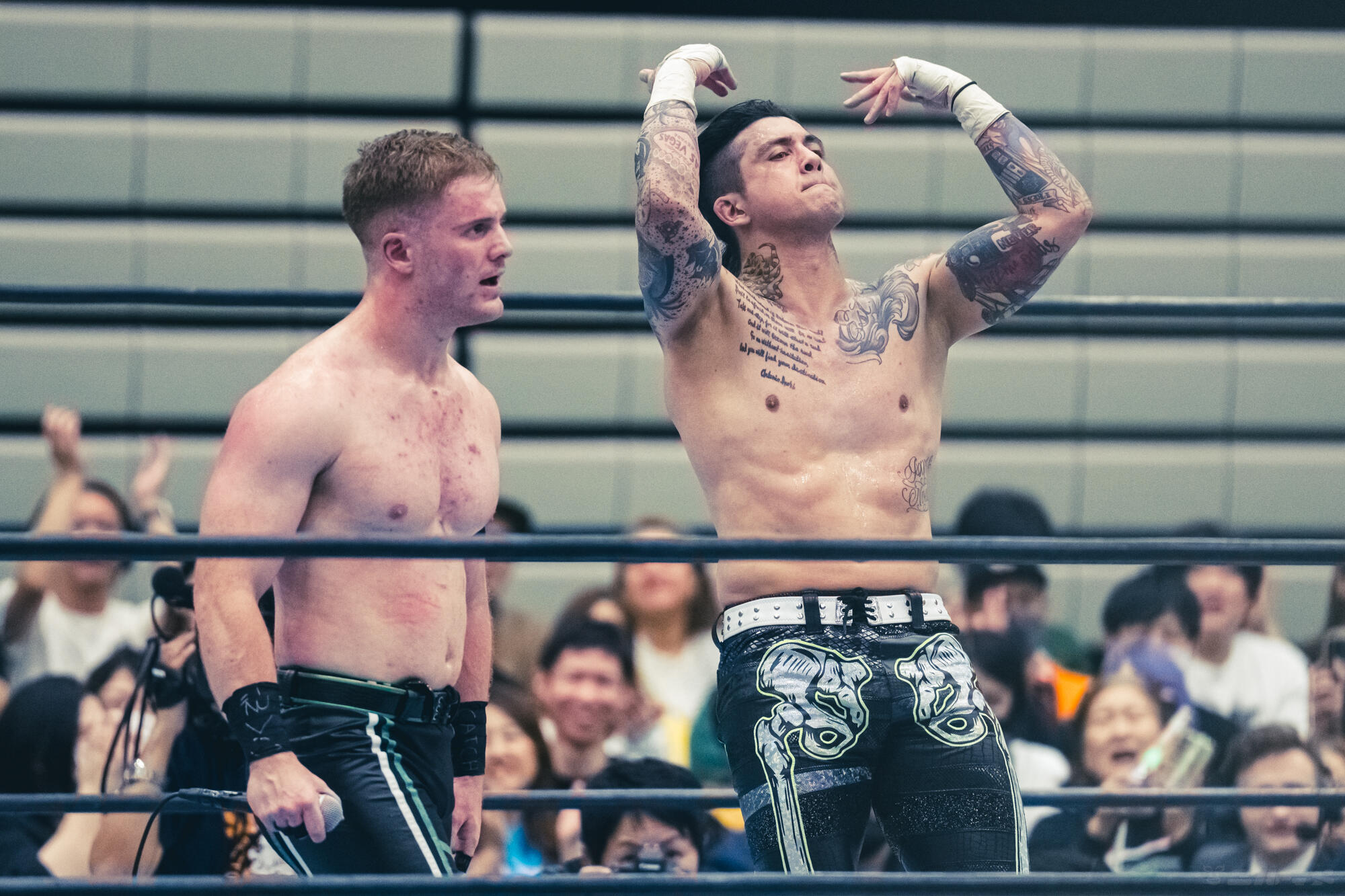 【新日本】24.10.26 カルッツかわさき SUPER Jr. TAG LEAGUE 公式戦 ケビン・ナイト&KUSHIDA vs フランシスコ・アキラ&TJP TJP,フランシスコ・アキラ,SUPER Jr. TAG LEAGUE